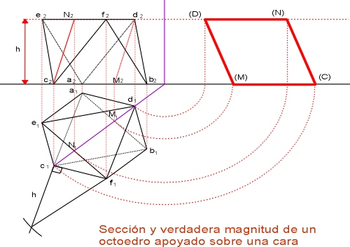 rectatetra.jpg (22817 bytes)